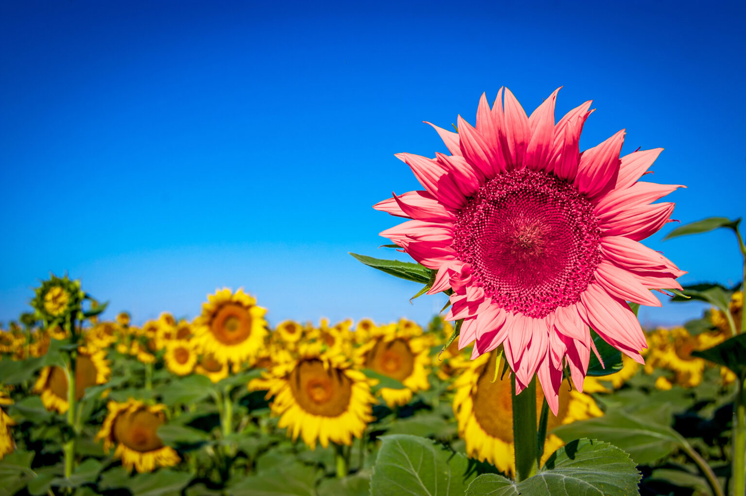 July 2025: Property Market Update