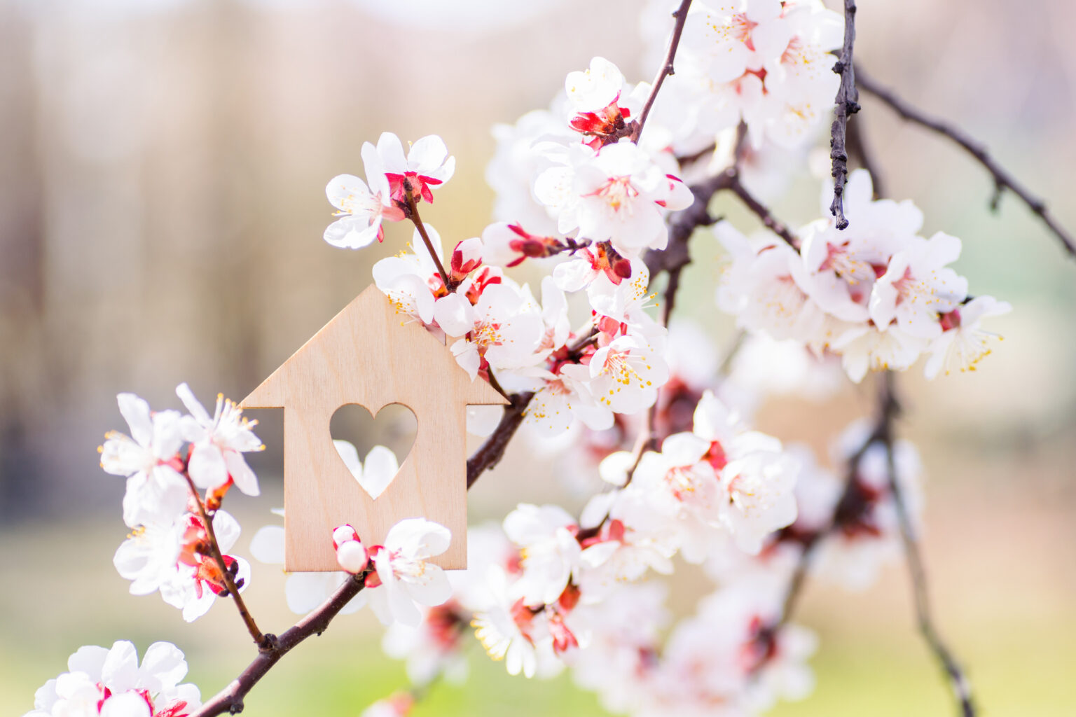 May 2025: Property Market Update